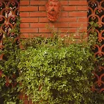 Il Villino ベッド・アンド・ブレックファスト ルッカ